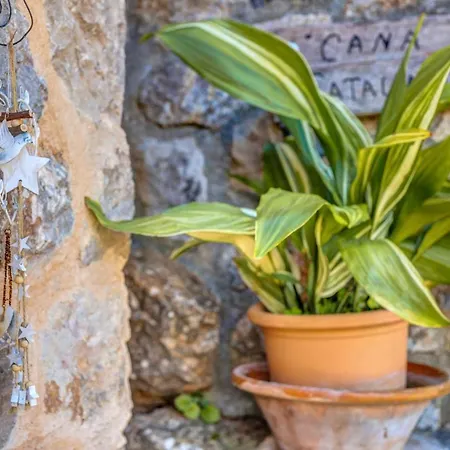 Casa Catalina Holiday home *